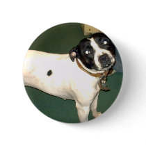 Pub Dog 2 copy buttons
