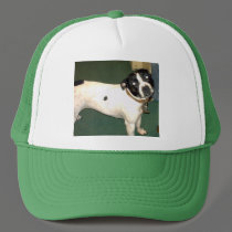 Pub Dog 2 copy hats