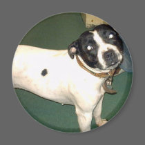 Pub Dog 2 copy magnets