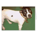 Pub Dog cards