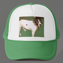 Pub Dog hats