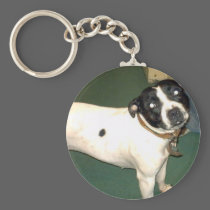 Pub Dog keychains