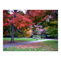 Public Garden Fall posters by litabug Public Garden Fall posters