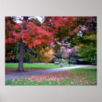 Public Garden Fall Posters