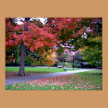 Public Garden Fall posters