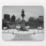 Public Garden Snow mousepads