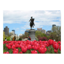 Public Garden Spring posters by litabug Public Garden Spring posters