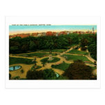 Public Gardens, Boston, Massachusetts Vintage Post Cards