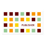 PUBLISHER (mod squares) Business Card Template