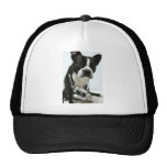Pucca cameraman mesh hats
