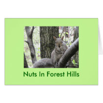 Pucci Strikes a pose, Nuts In Forest Hills cards by Robinamybass Pucci Strikes a pose, Nuts In Forest Hills cards
