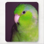 Puck Mousepad