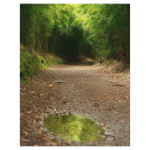 Puddle of water full color flyer