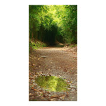 Puddle of water photo cards