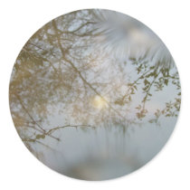 Puddle stickers