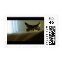 Pudge postage