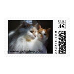Pudgy and Petey Postage Stamps
