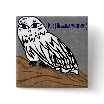 Pueo hawaiian white owl buttons