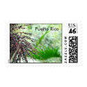Puerto Rican Rain Forest postage