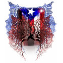 Puerto Rican t-shirts