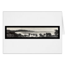 Puerto Rico Flamingo Photo 1914 cards by lc_panoramicphotos Puerto Rico Flamingo Photo 1914 cards