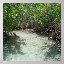 Puerto Rico Framed Photo Print