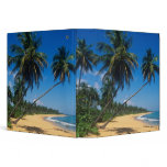 Puerto Rico, Isla Verde, palm trees. 3 Ring Binder