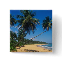 Puerto Rico, Isla Verde, palm trees. Pinback Button