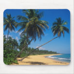 Puerto Rico, Isla Verde, palm trees. Mouse Pads