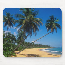 Puerto Rico, Isla Verde, palm trees. Mouse Pads