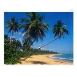 puerto rico isla verde palm trees postcard r0d0b89d8b47e49c694d66ac2e42ccd95 vgbaq 8byvr 150 Puerto Rico