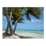 Puerto Rico Post Card