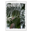 Puerto Rico Rain Forest cards