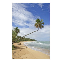 Puerto Rico. Tres Palmitas Beach Puerto Rico Photo Print