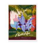 puerto, rico, tourism, vintage, usa, poster,