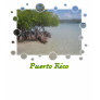 Puerto Rico Women's T-Shirt