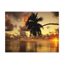 Puerto Vallarta Postcards