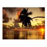 Puerto Vallarta Postcards