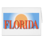 Puesta del sol azul y anaranjada de la Florida tarjetas
