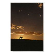 Puesta del sol impresionante del vaquero posters
