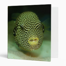 Puff Fish/EEL 3 Ring Binders