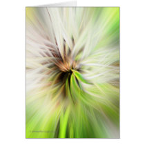 Puff SpinArt Card cards