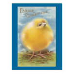 Puffball Chick Vintage Easter Postcard