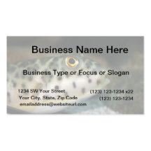 puffer fish facing right yellow eye.jpg business card