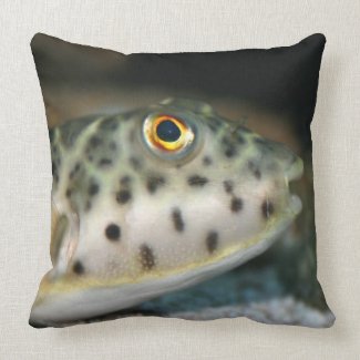 puffer fish facing right yellow eye.jpg pillows