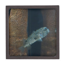 Puffer Fish Mirage Premium Jewelry Boxes