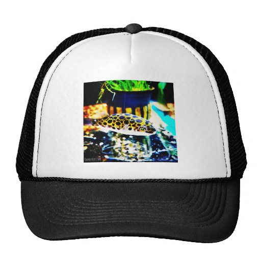 Puffer Fish Trucker Hat Zazzle