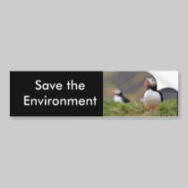 Puffin bumper stickers by Welshpixels Puffin bumper stickers