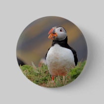 Puffin buttons by Welshpixels Puffin buttons