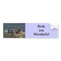 Puffin Convention Bumper Stickers